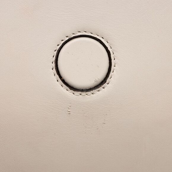 Gucci Calfskin Tiger Broadway Mini Shoulder Bag - Picture 13 of 15